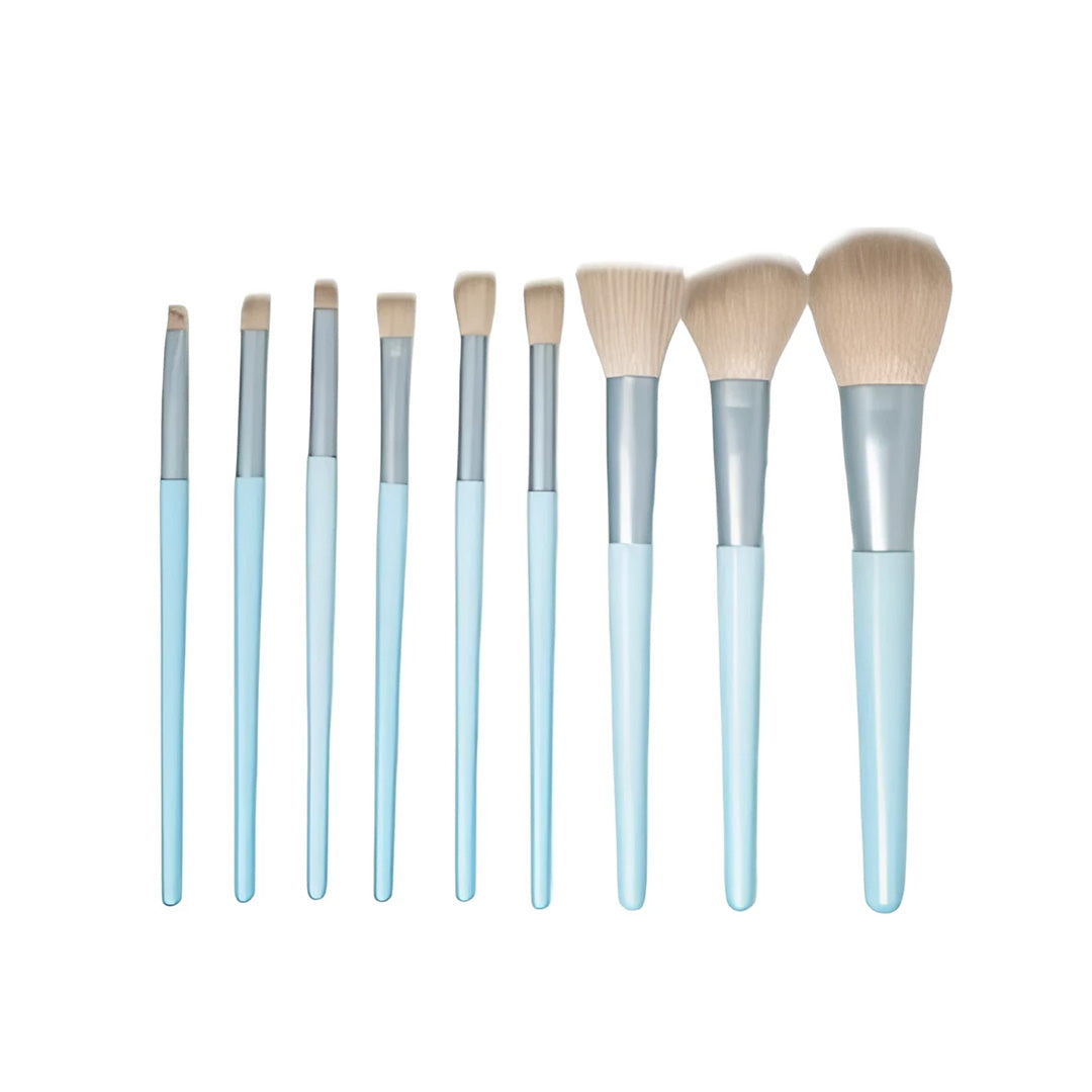 Cosmetiquera Plata con 9 Brochas de Maquillaje