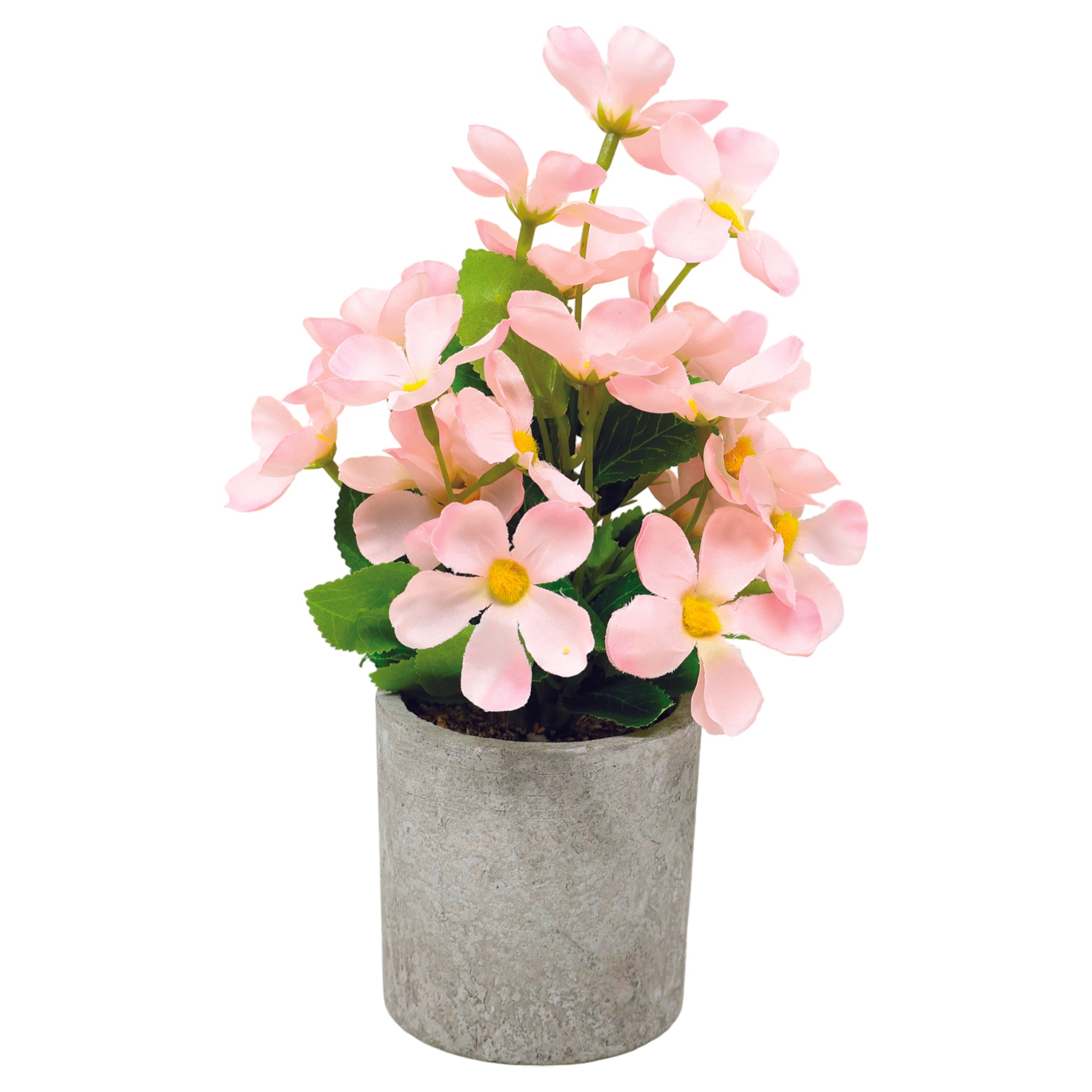 Mini Maceta Cilíndrica Biodegradable con Planta de Flores Silvestres Rosas
