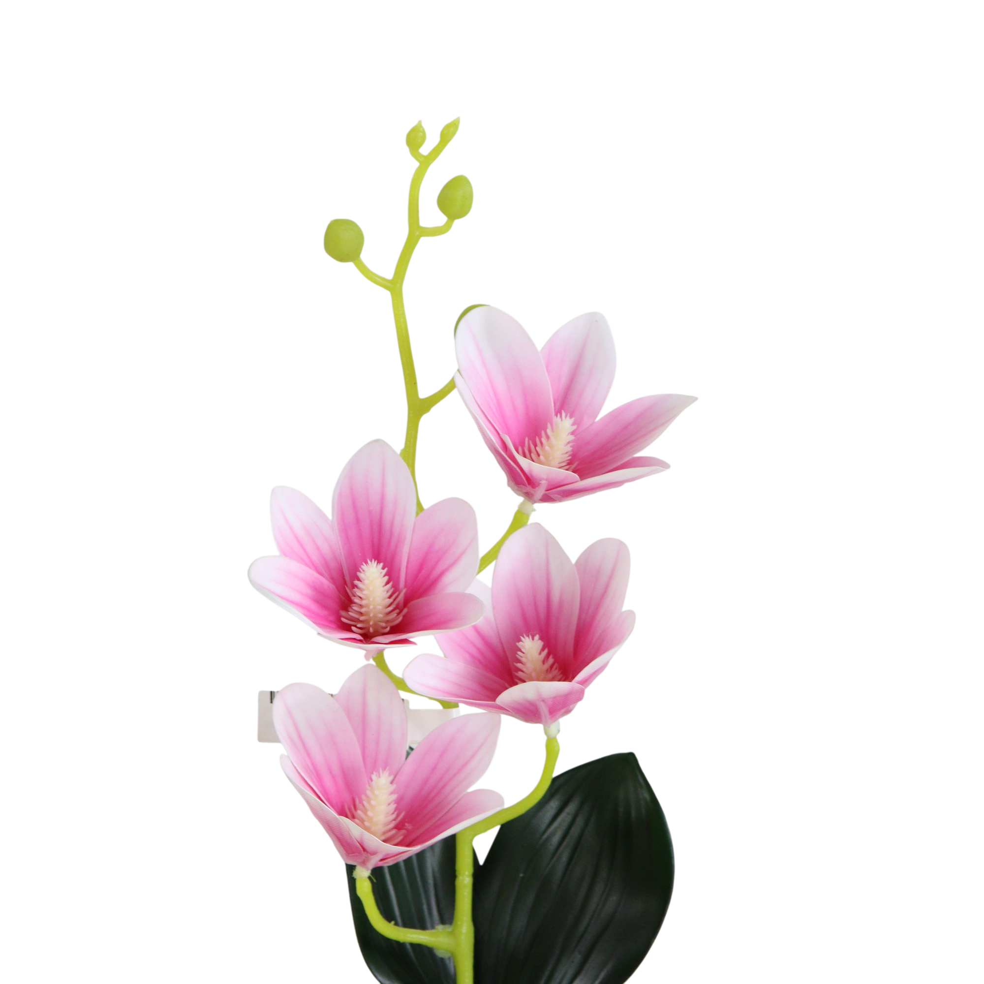 1 Vara de Flor Magnolia Color Rosa