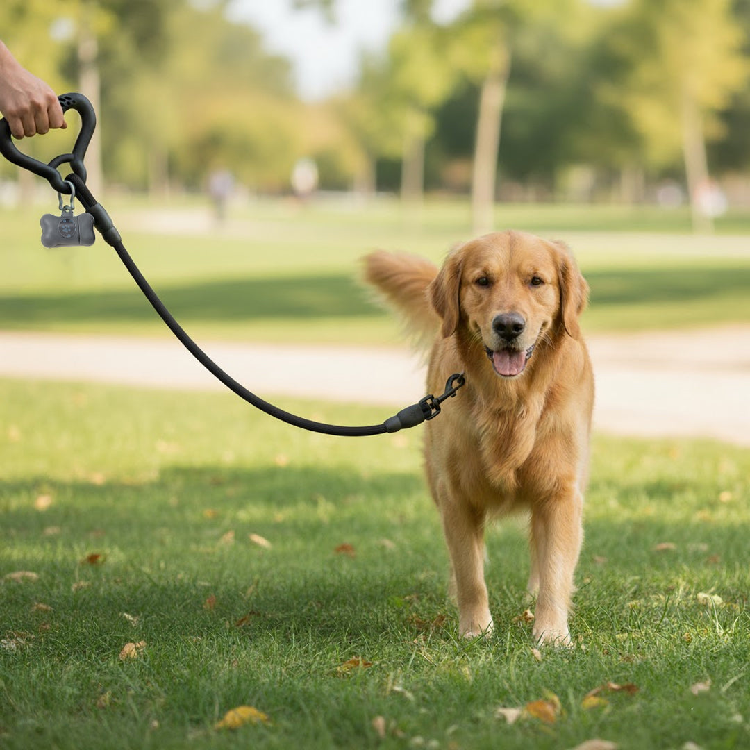 Set Paseo Negro: Correa Reforzada y Porta Bolsas