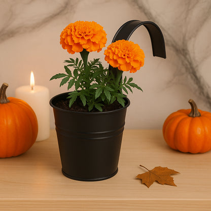 Set de 4 Macetas Colgantes Galvanizadas -  Negro