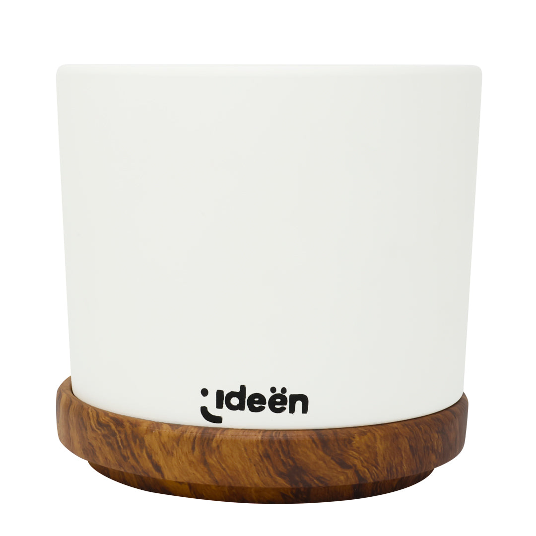 IdeenstoresMX