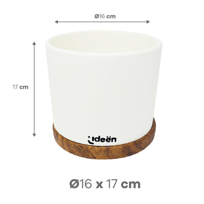 Set de 3 Macetas con Plato - Arcilla Blanca