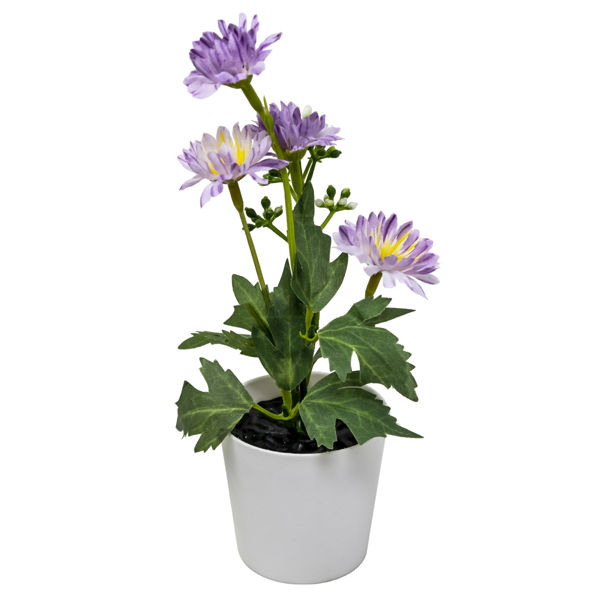 Mini Maceta Decorativa con Crisantemo Silvestre Morado