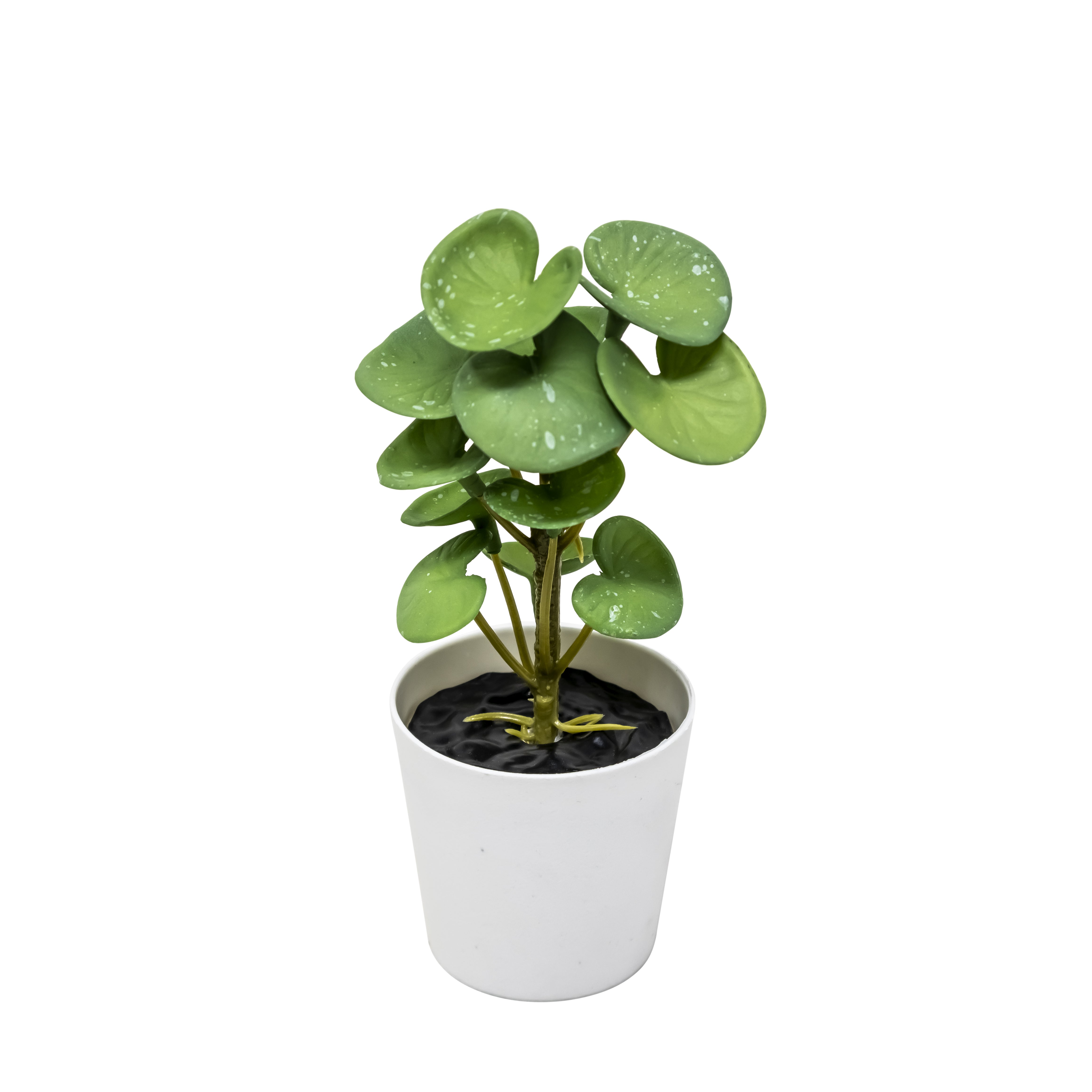 Mini Maceta de Plástico con Planta de Moneda de Cobre