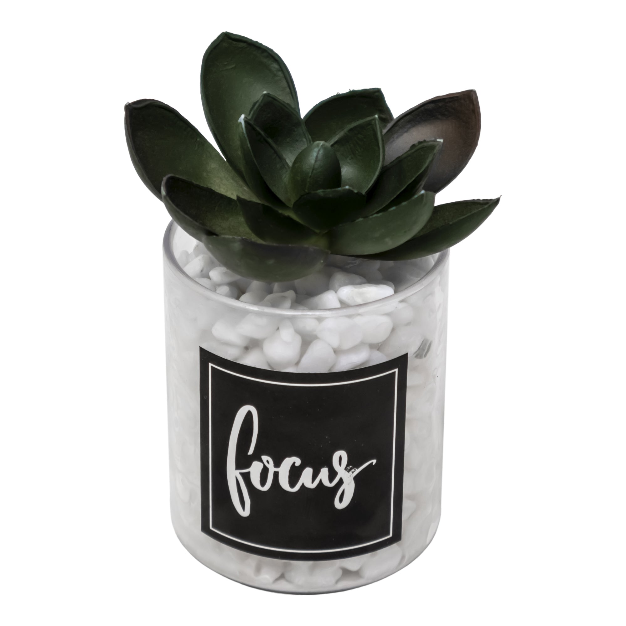 Mini Maceta de Vidrio con Planta de Amapola