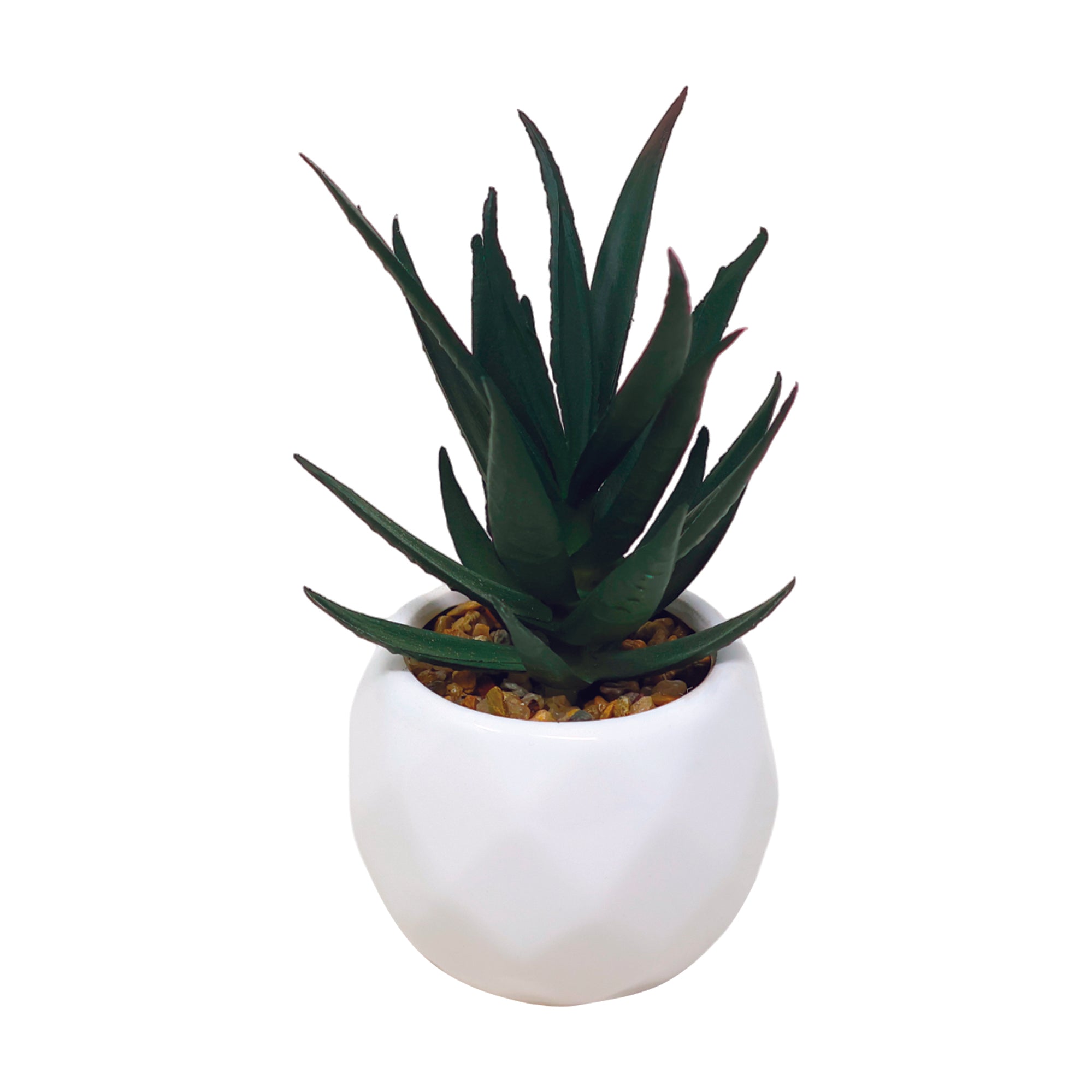 Mini Maceta Decorativa de Cerámica con Aloe