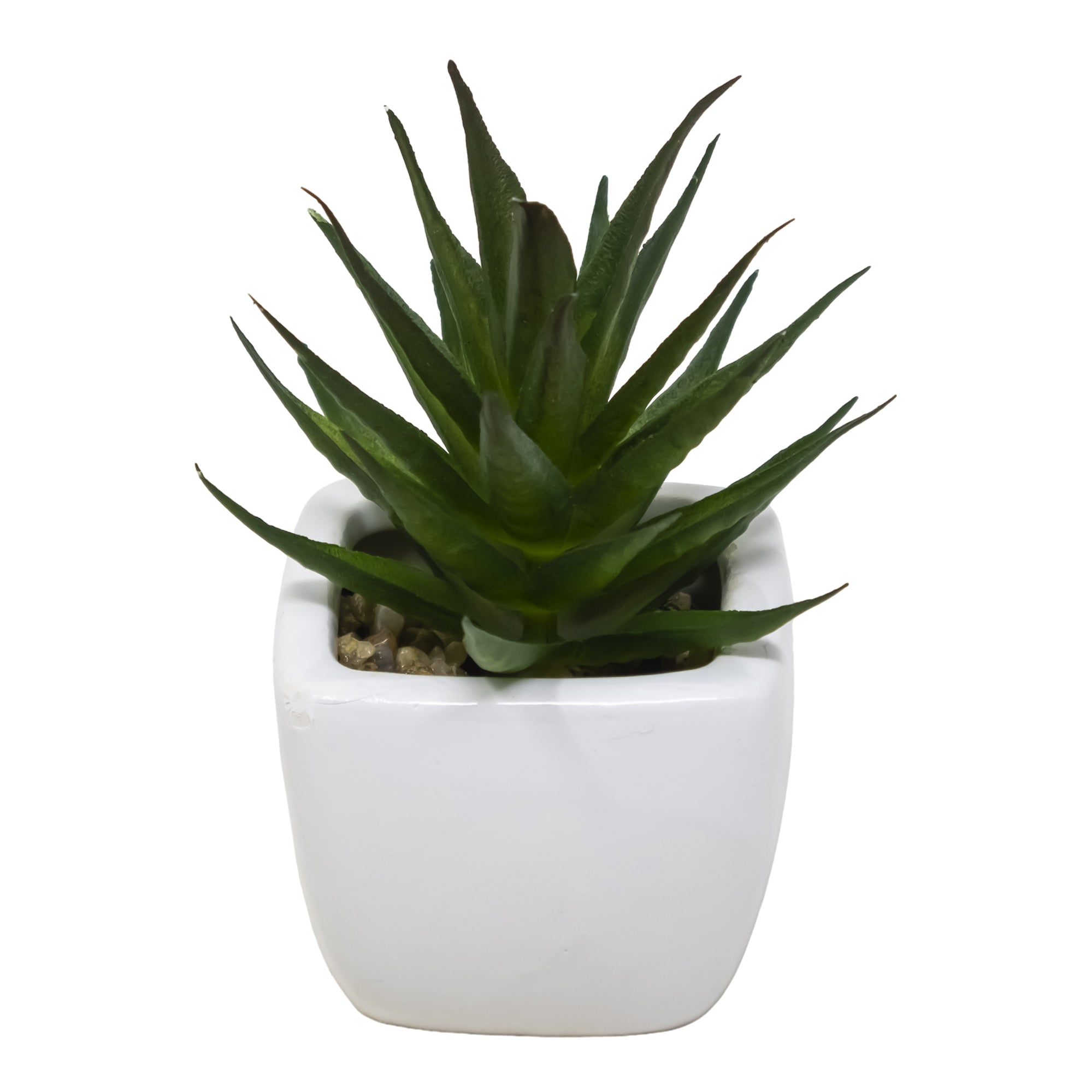 Mini Maceta Cuadrada de Cerámica con Aloe Vera Moteado
