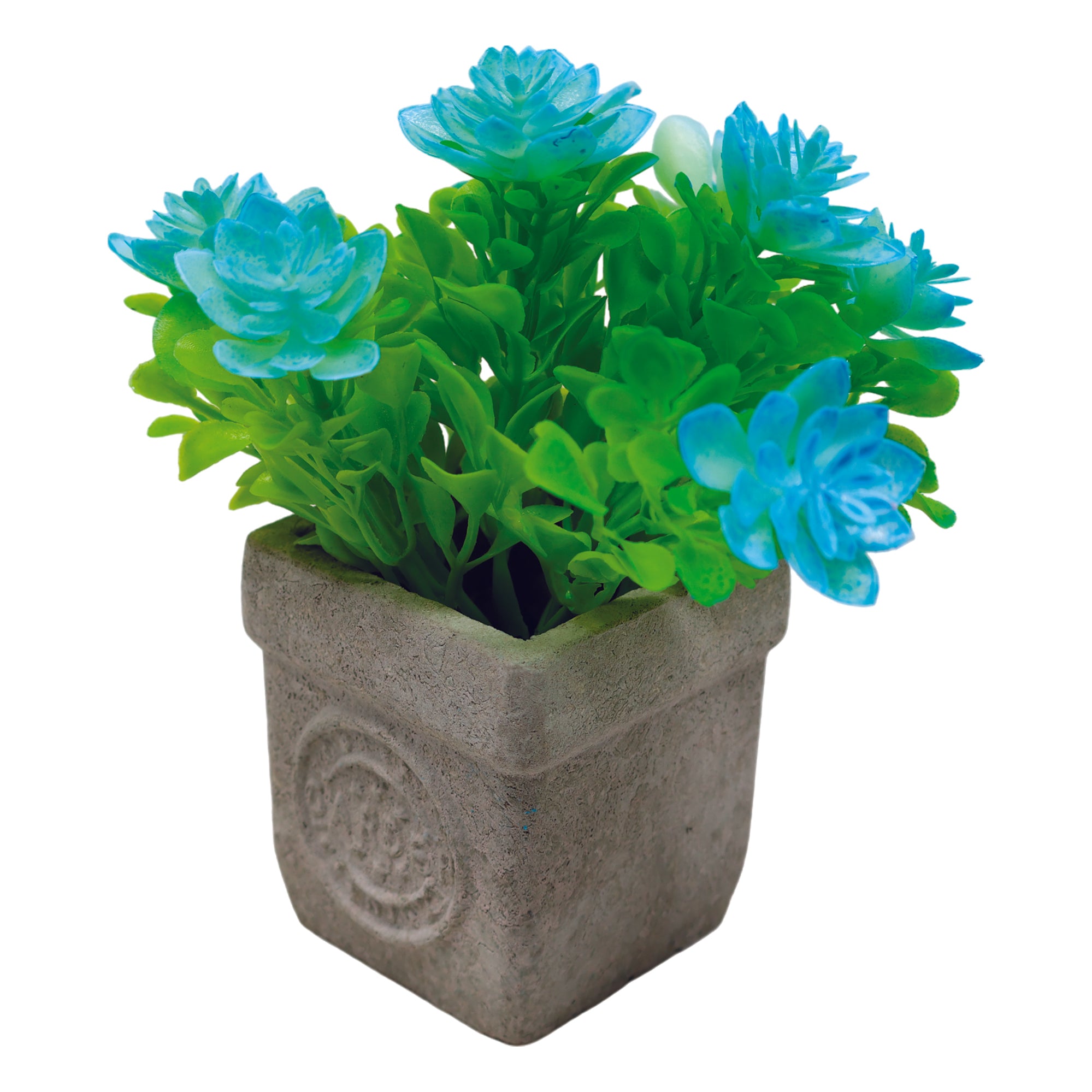 Mini Maceta Biodegradable  con Flor de Loto