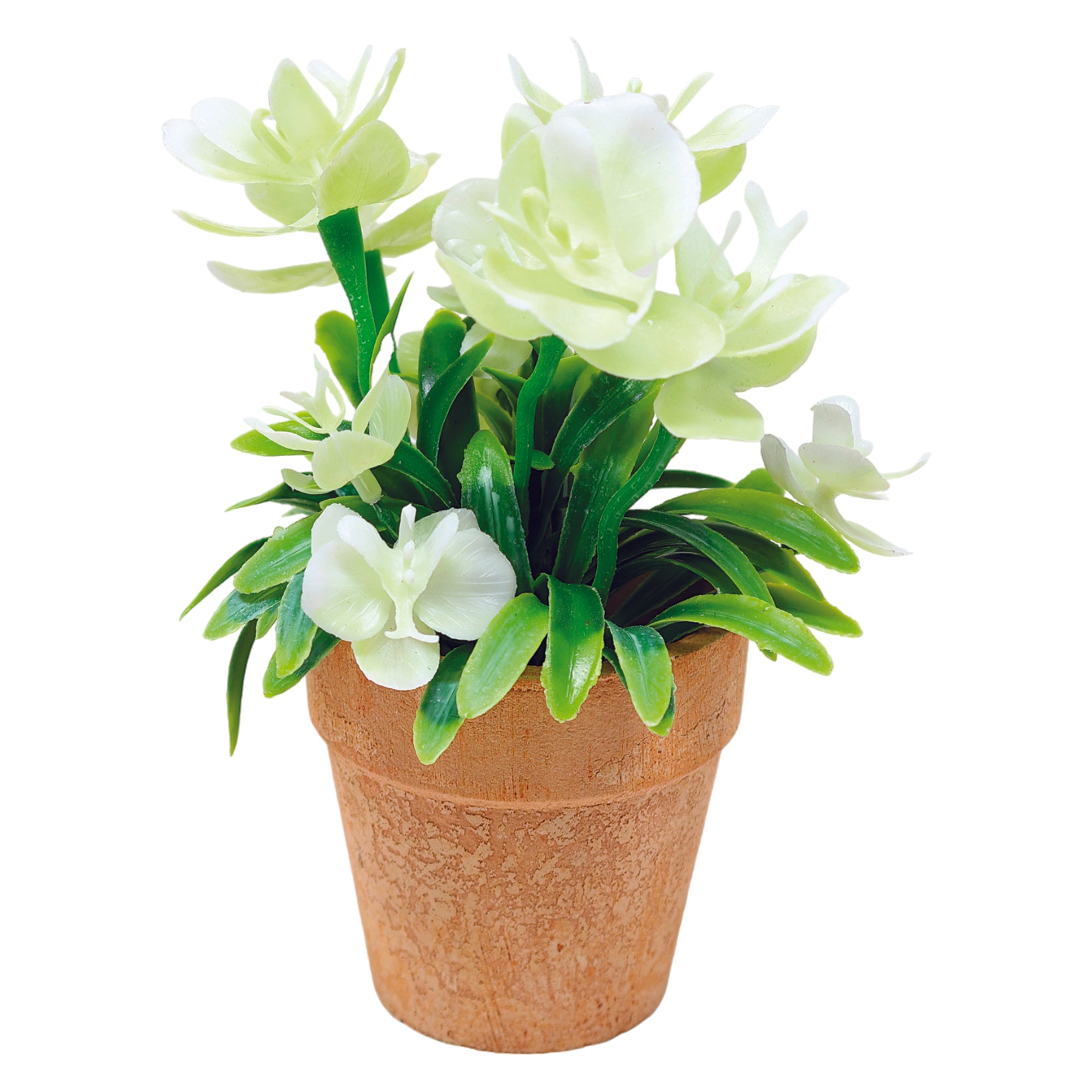 Mini Maceta Biodegradable con Orquídea Mariposa