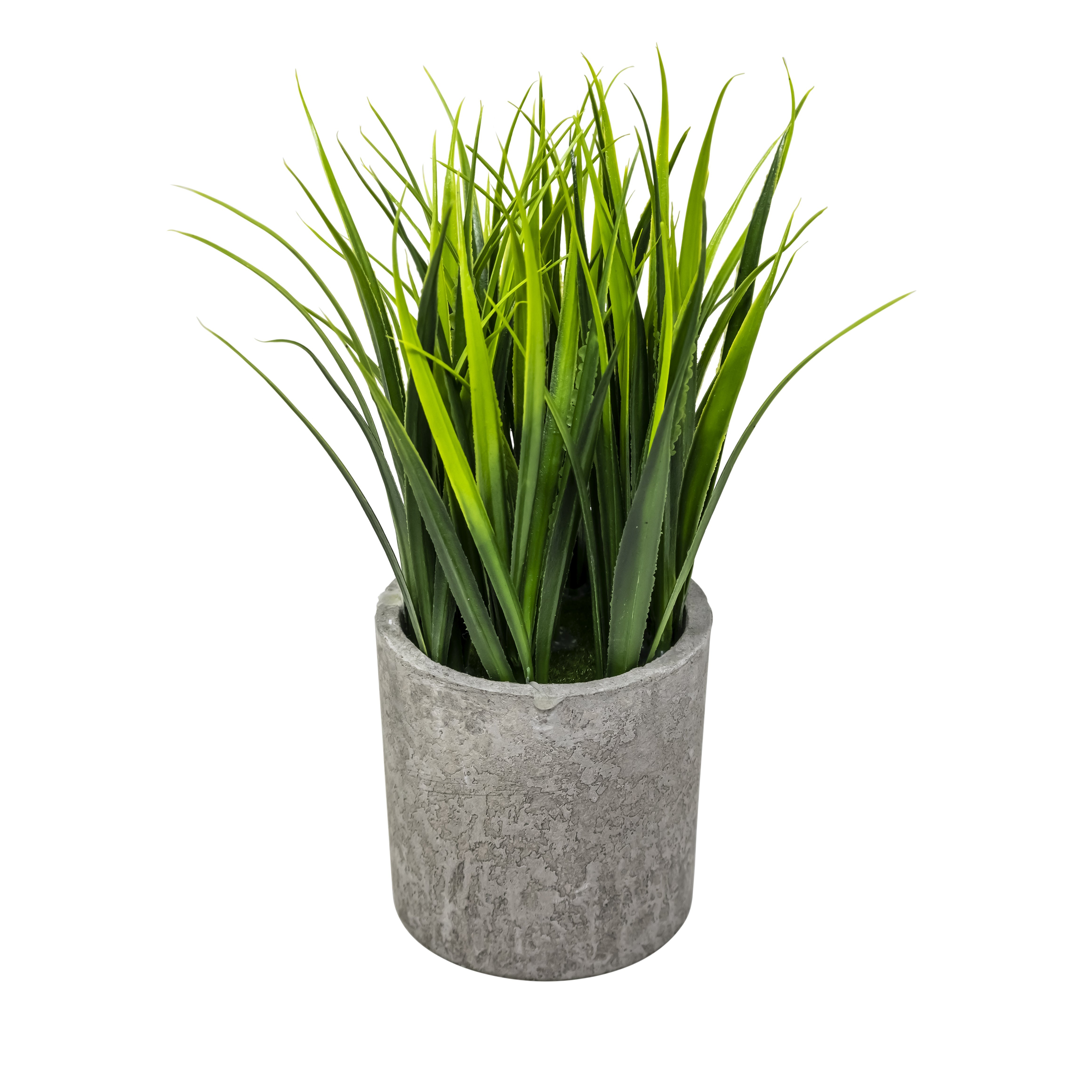 Mini Maceta Biodegradable con Planta tipo Hierva/Césped