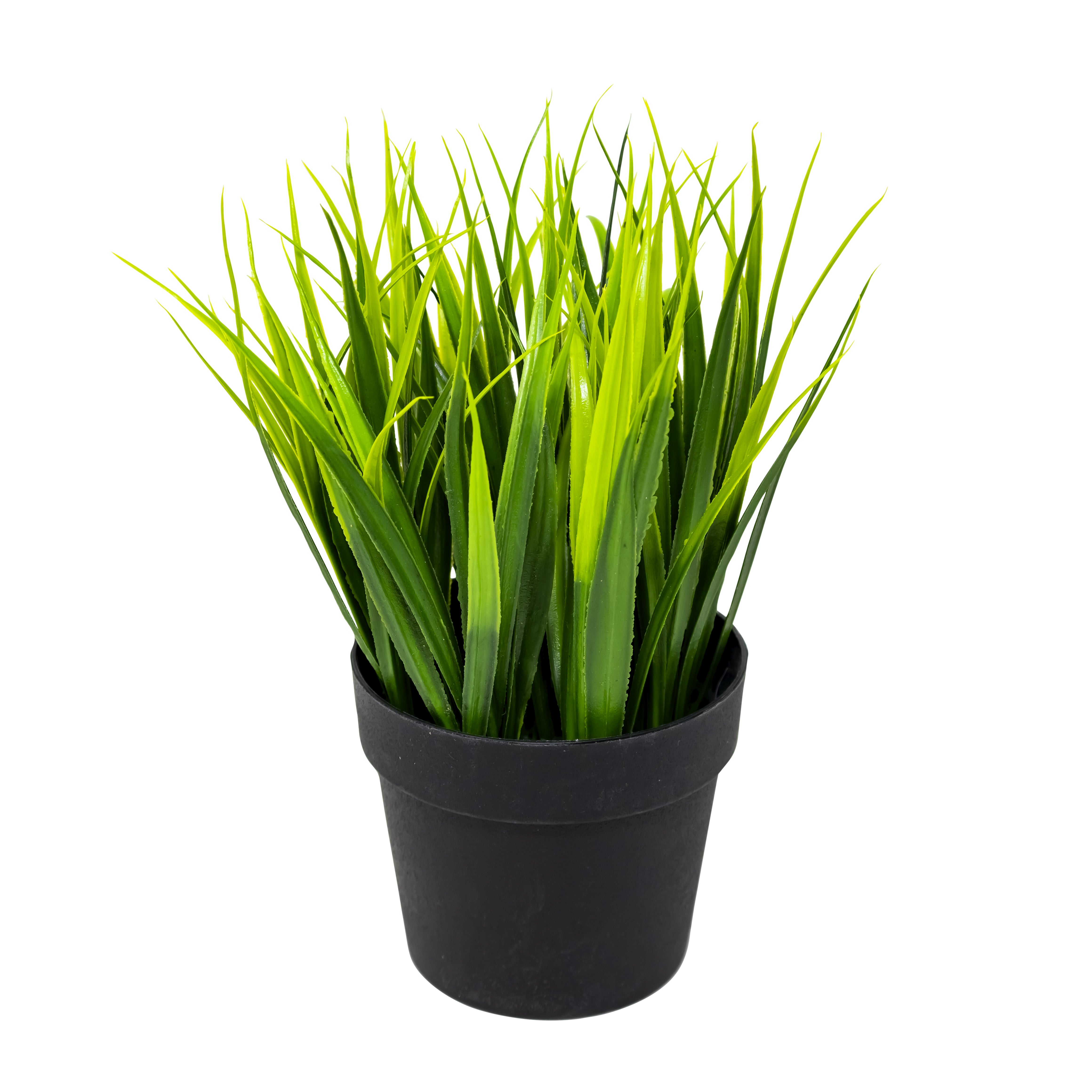 Maceta Negra con Planta de Hierba/Césped