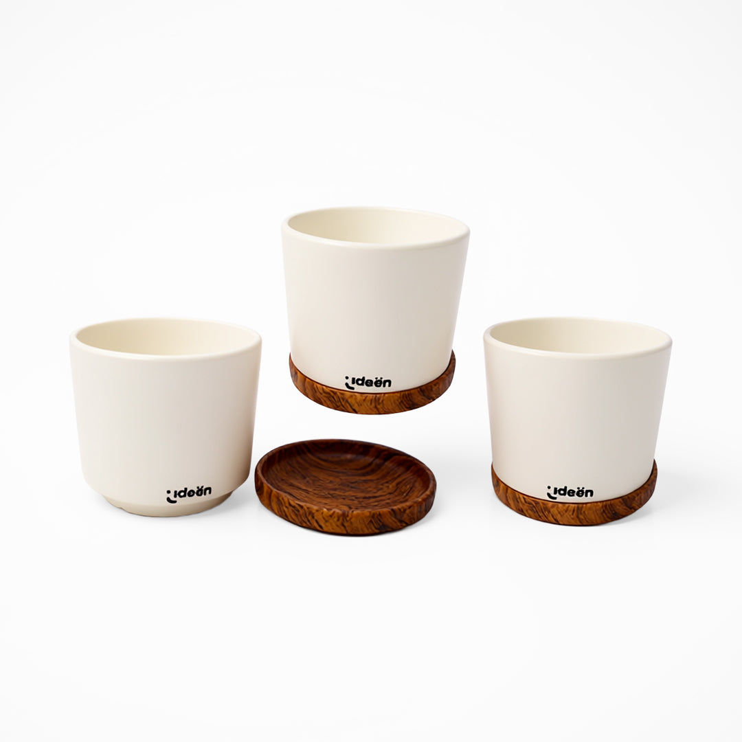 Set de 3 Macetas con Plato - Arcilla Blanca