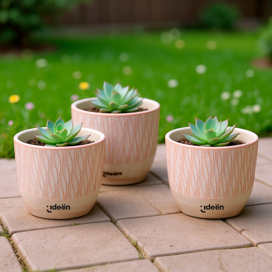 Set de 3 Macetas - Arcilla Color Rosa