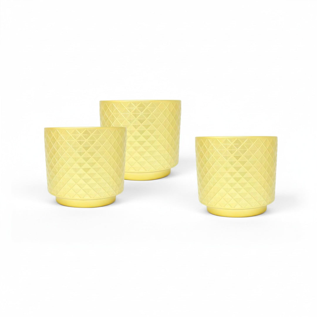 Set de 3 Macetas - Arcilla Dorada