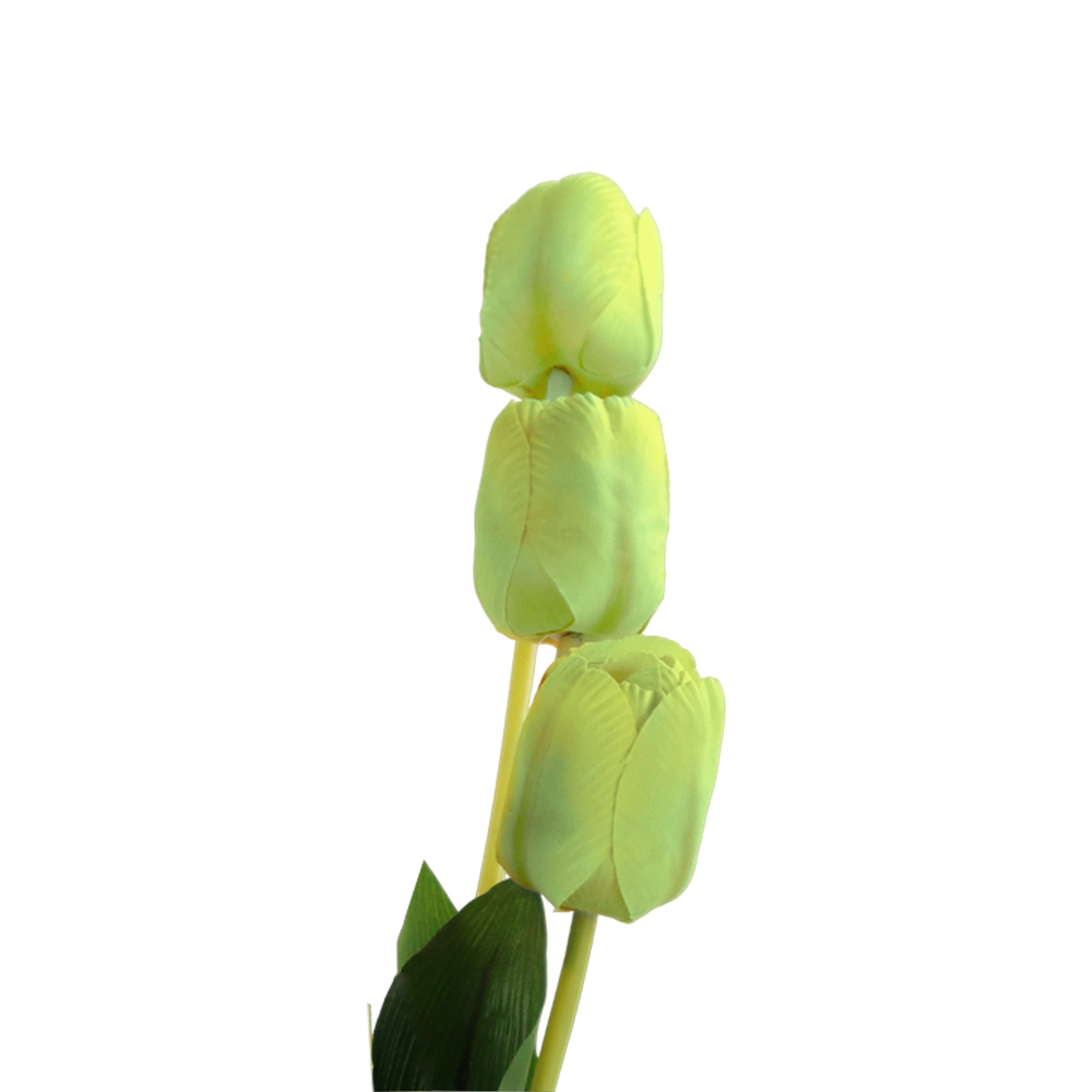 1 Vara de Flor Tulipan Color verde