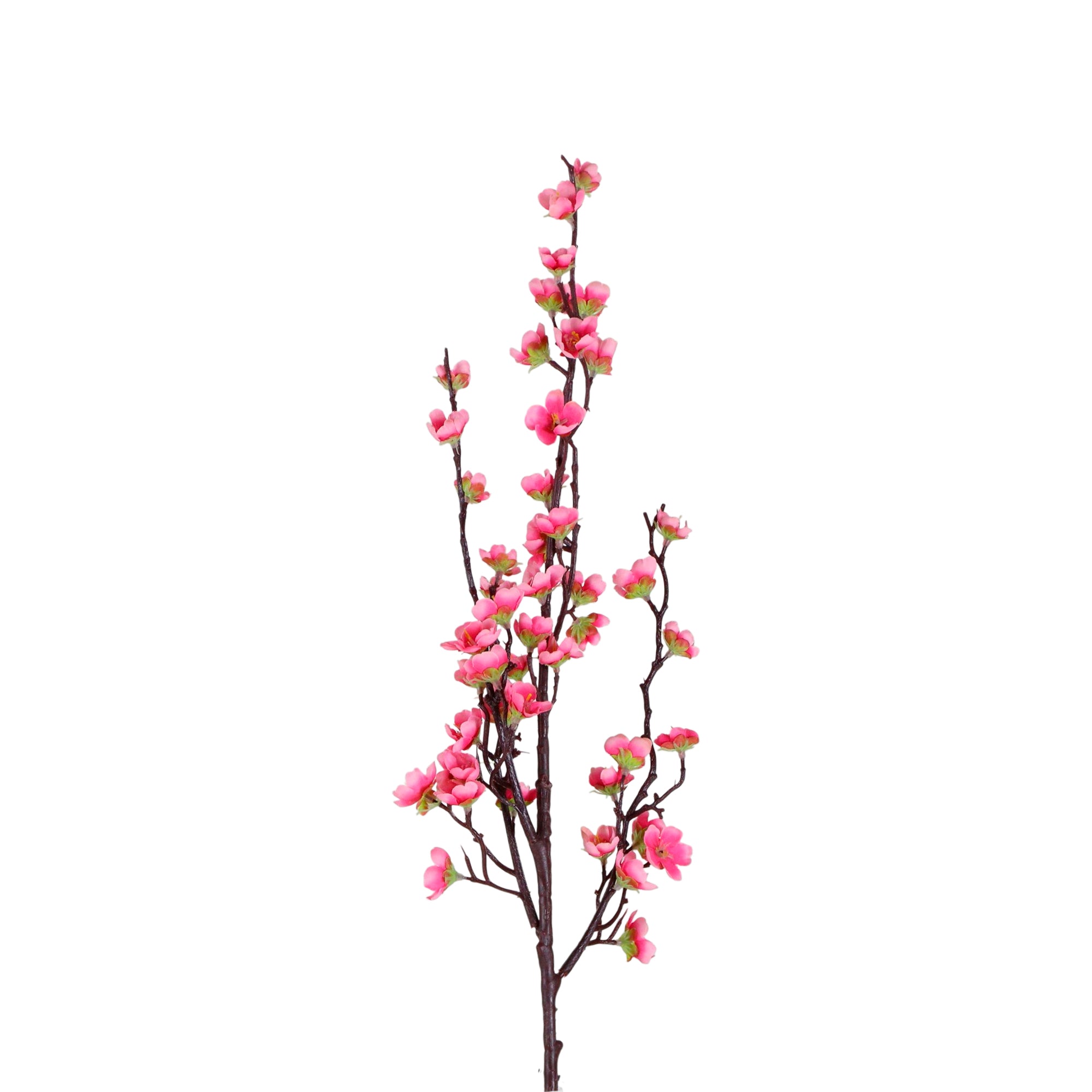 1 Vara de Flor De Ciruelo Color Fucsia