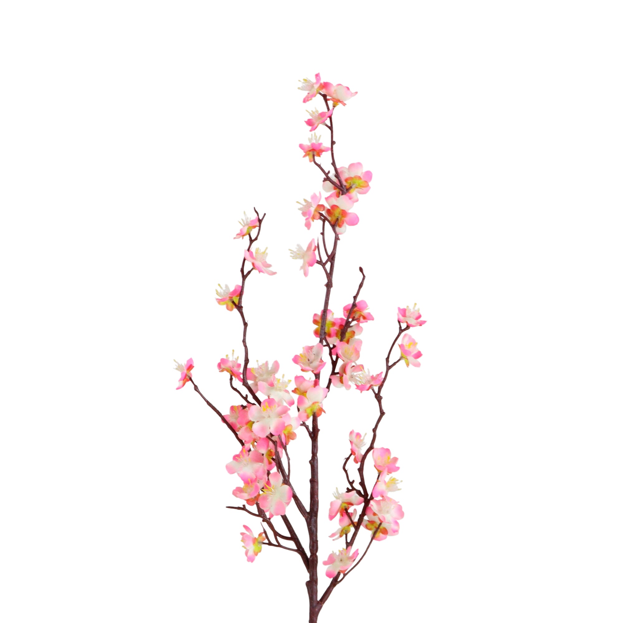 1 Vara de Flor De Ciruelo Color Rosa