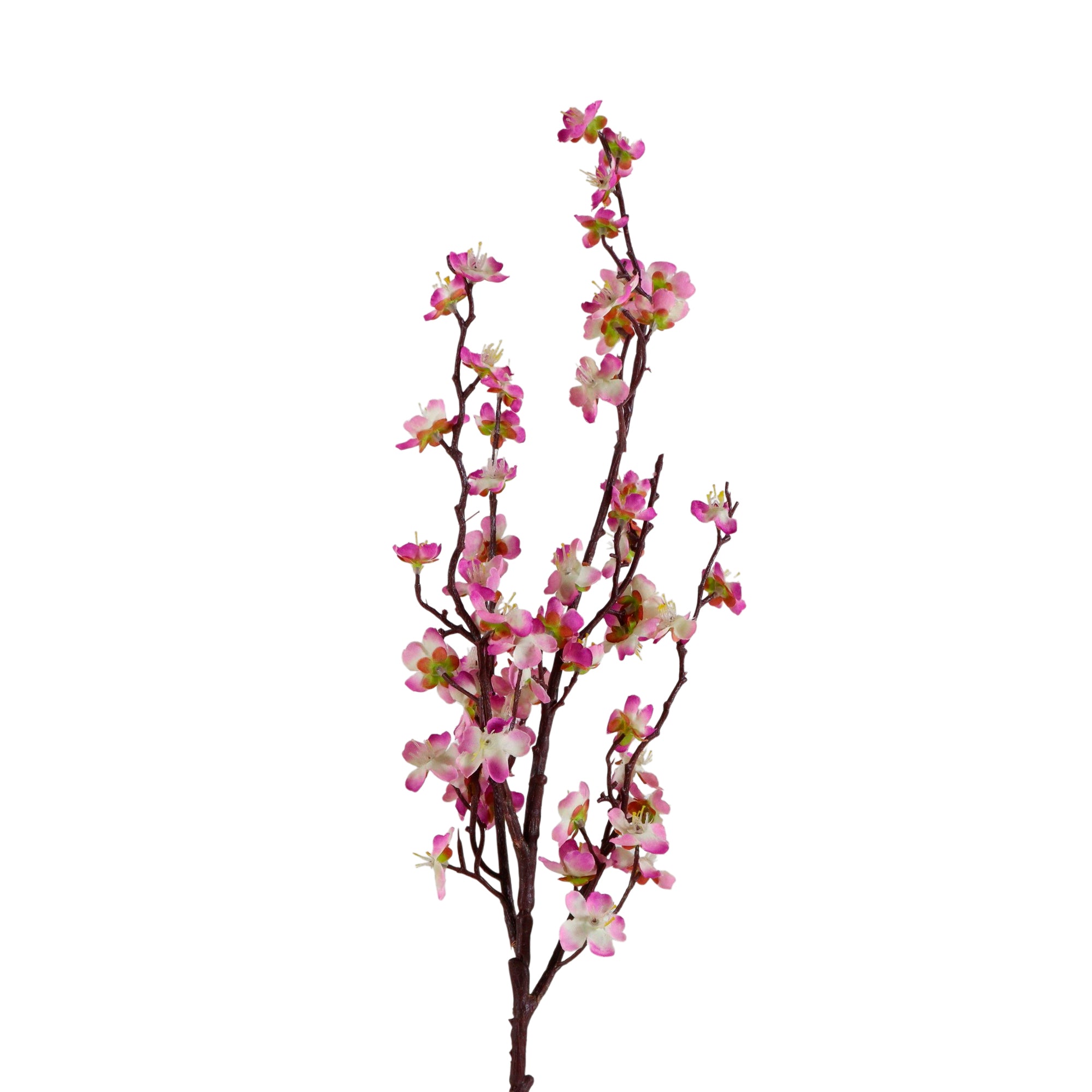 1 Vara de Flor De Ciruelo Color Lila