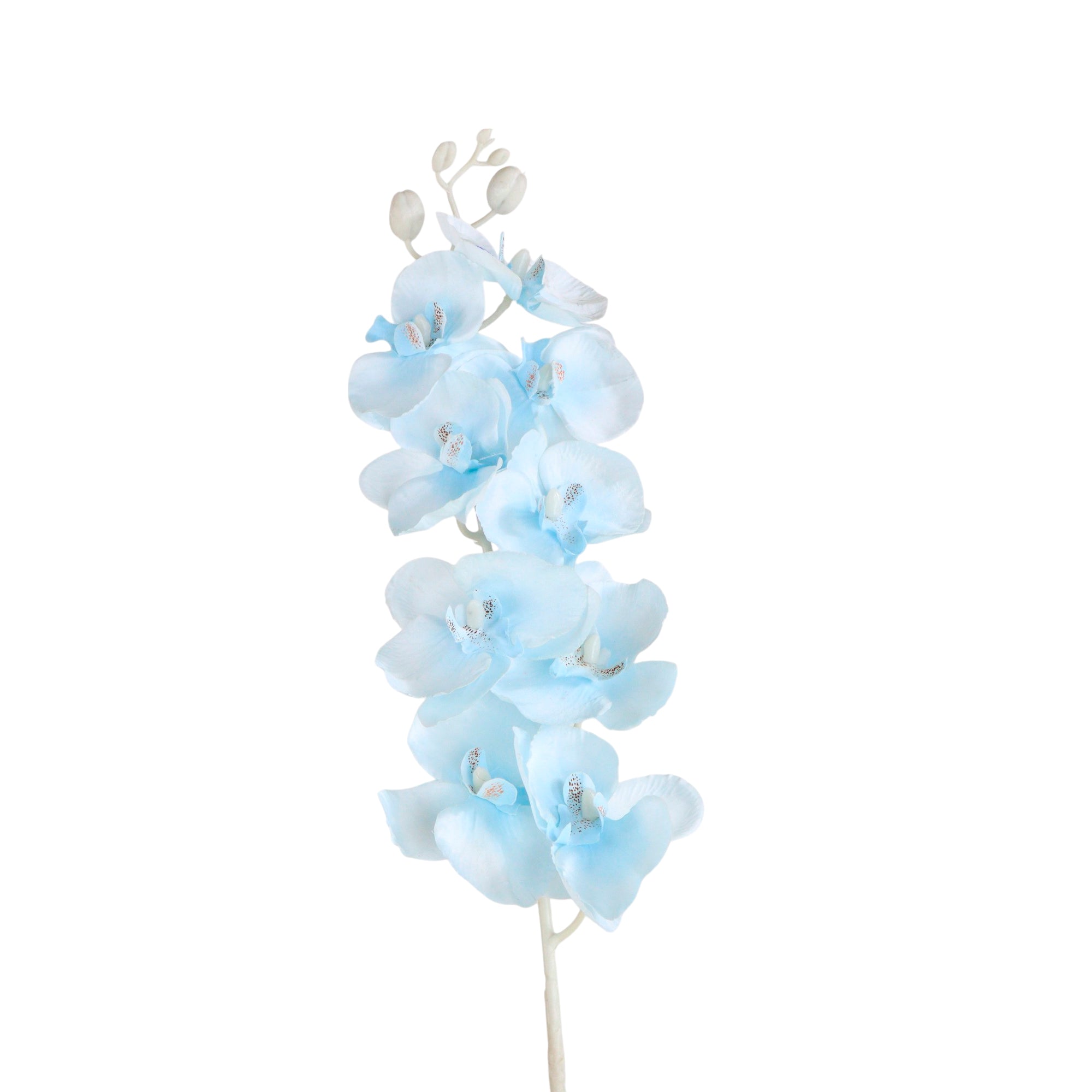 1 Vara de Flor Orquídea Color Azul Claro