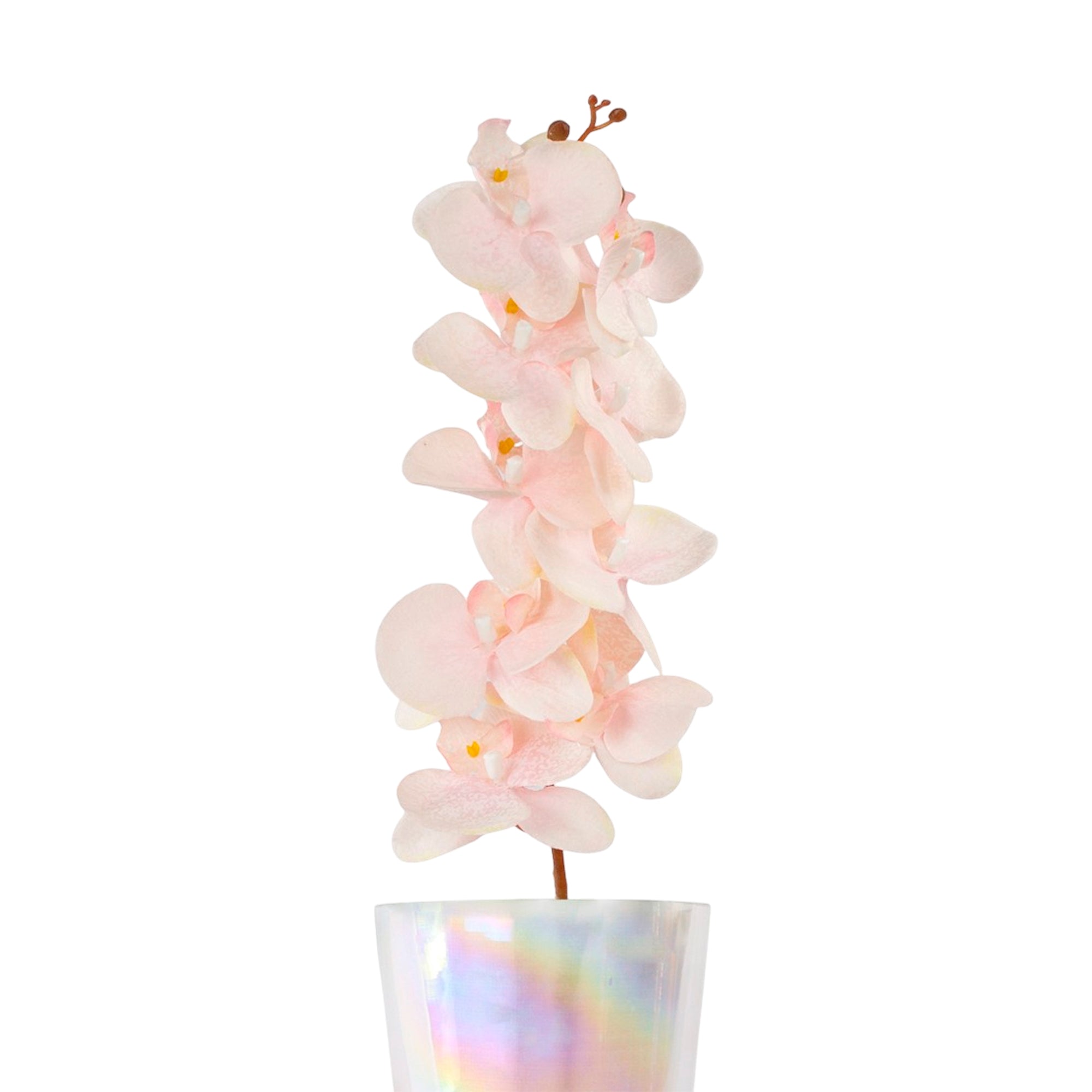 1 Vara de Flor Orquídea Color Melón