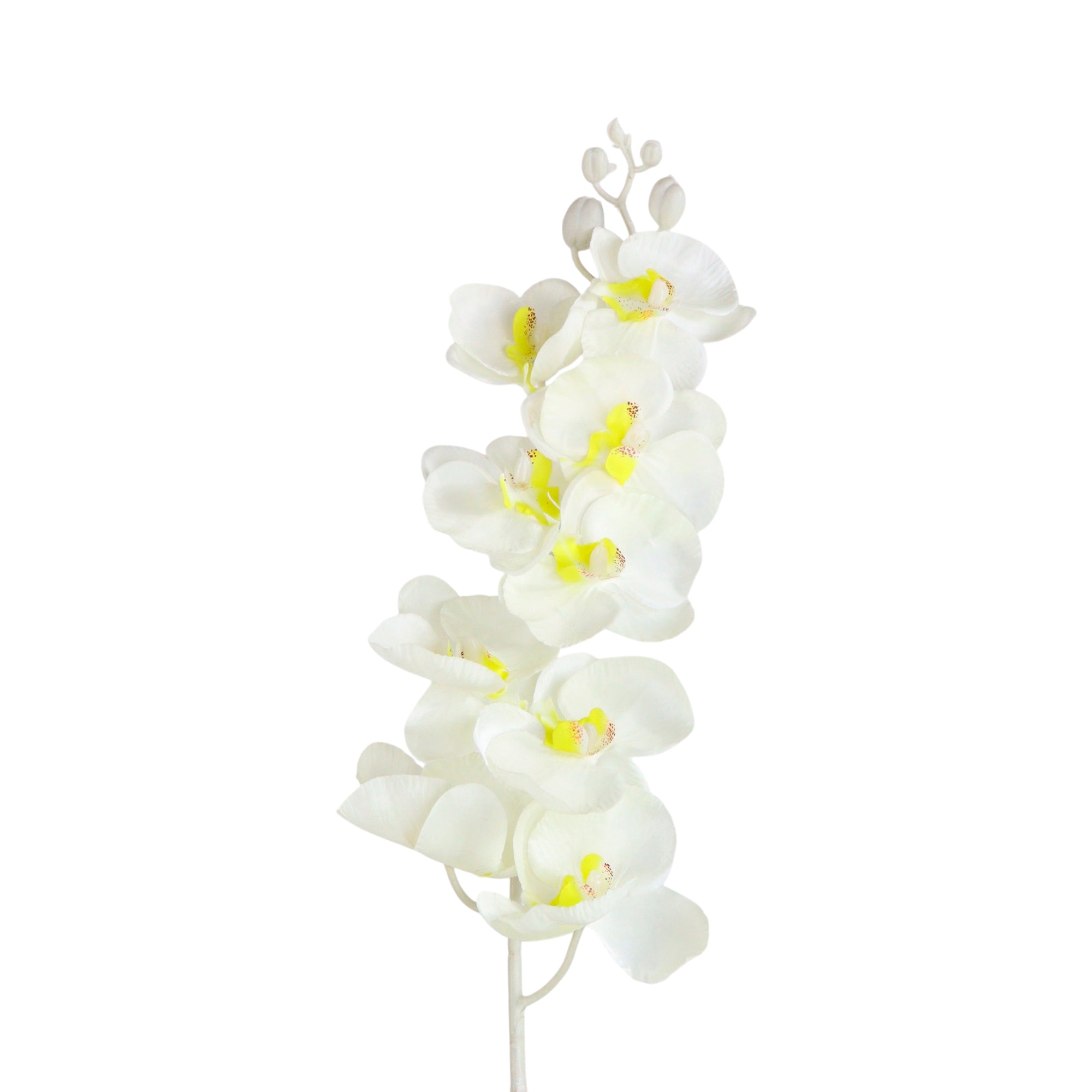 1 Vara de Flor Orquídea Color Blanco