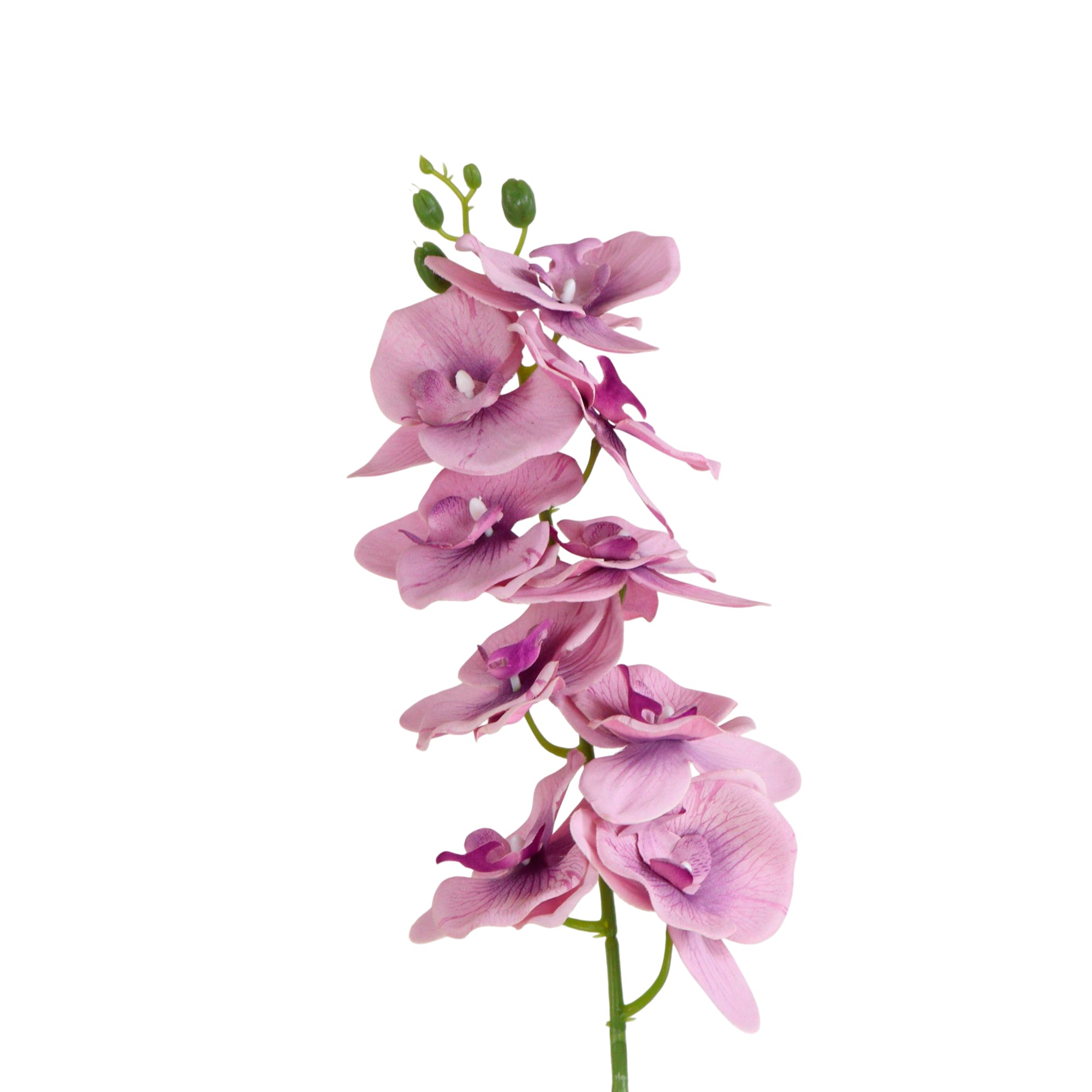1 Vara de Flor Orquídea Color Lila