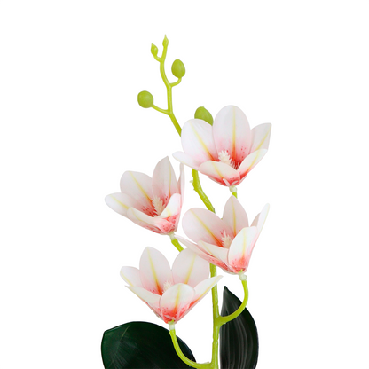 1 Vara de Flor Magnolia Color Blanco