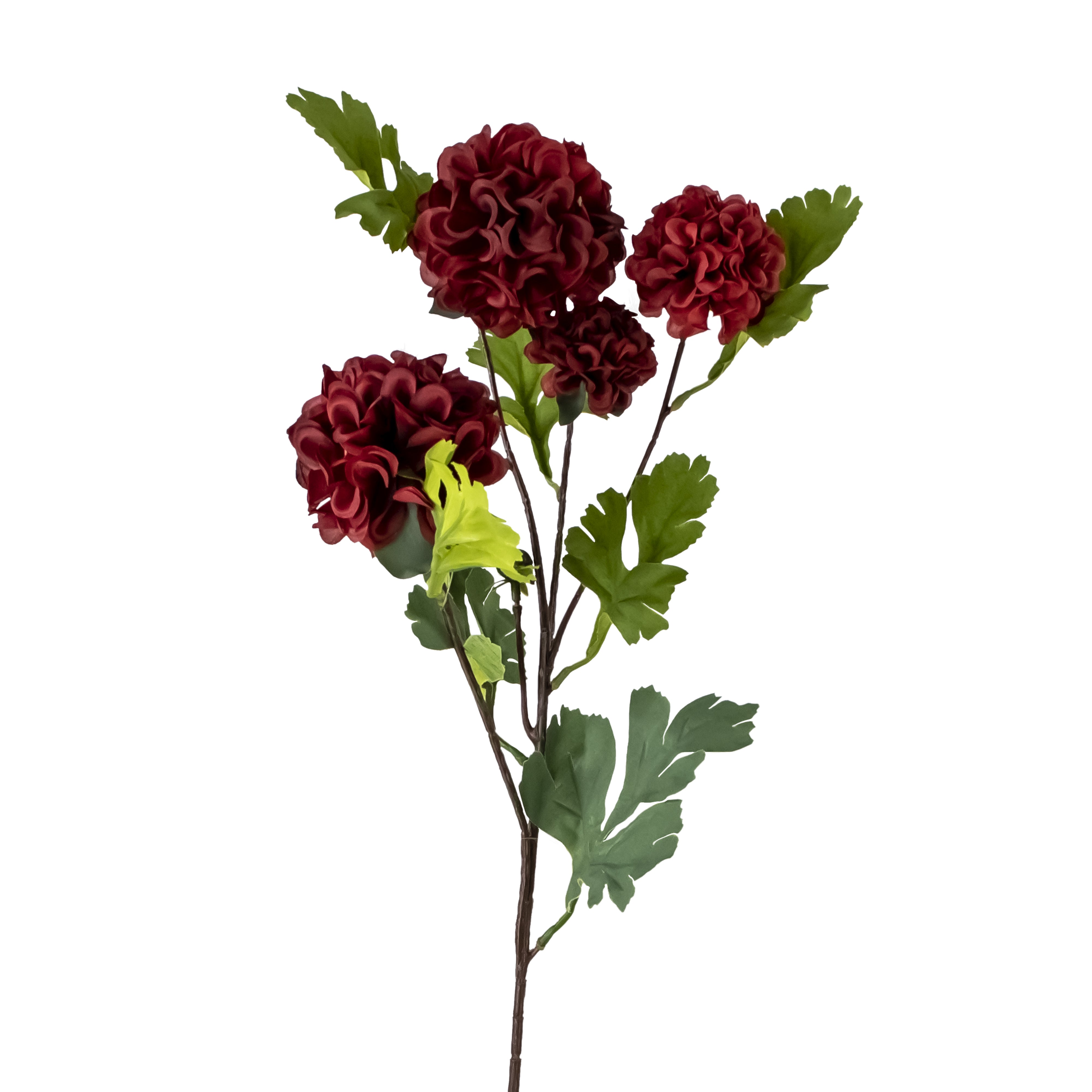 1 Flor Crisantemo Color Rojo