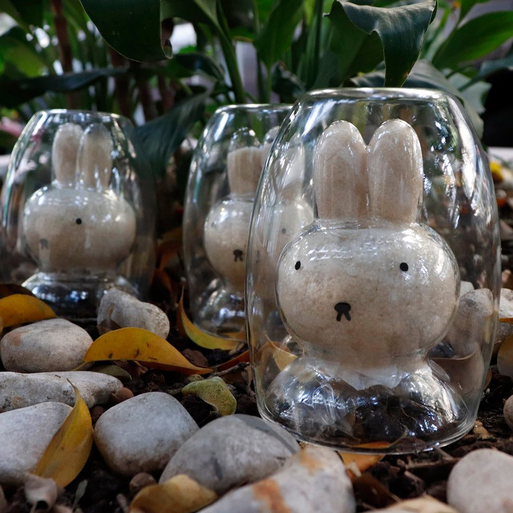 Vaso Cristal Cara Conejo - 300 ml