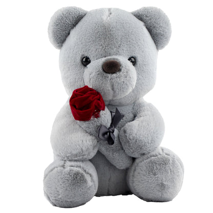 Oso de Peluche Gris