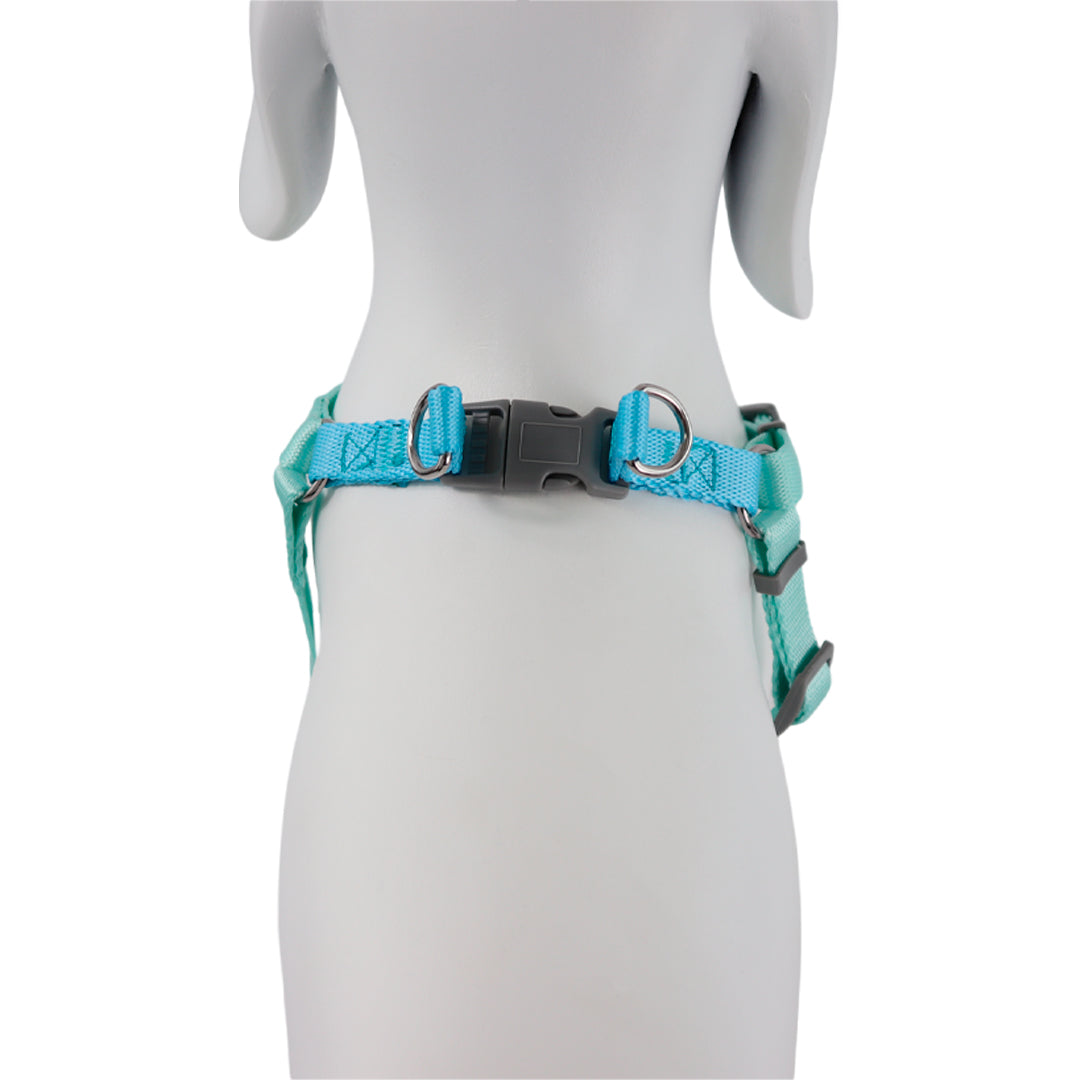Arnés Ajustable Turquesa/Azul - 43cm