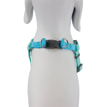 Arnés Ajustable Turquesa/Azul - 43cm