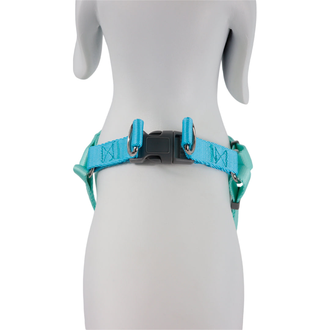 Arnés Ajustable Azul - 55 cm