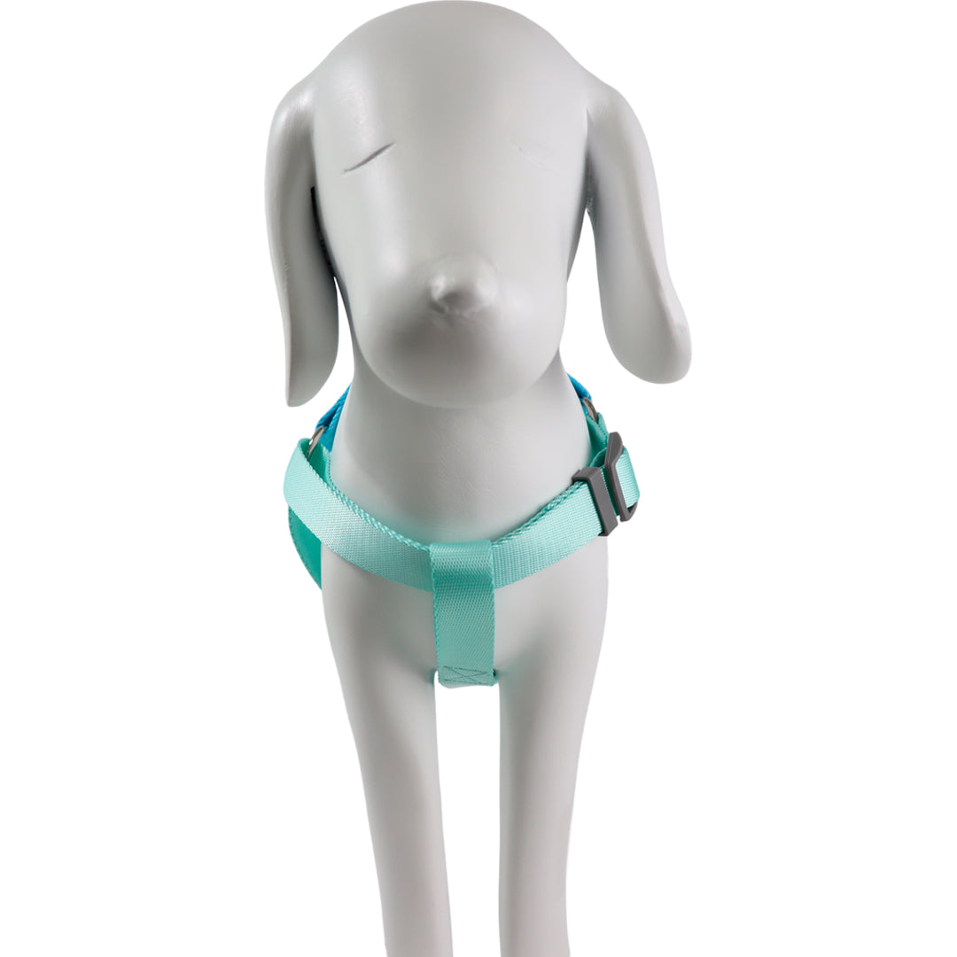Arnés Ajustable Turquesa/Azul - 70 cm
