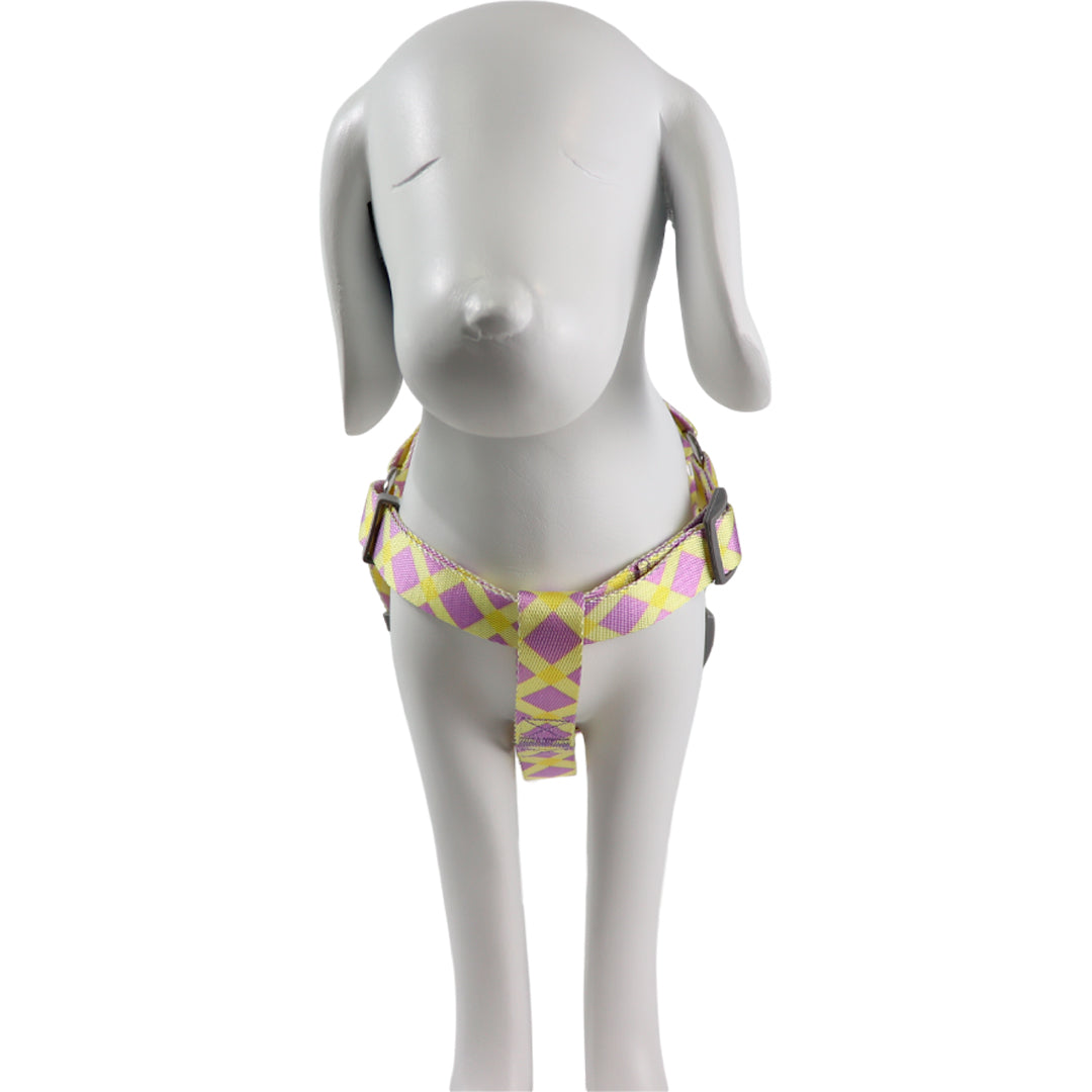 Arnés para Mascota Ajustable Geométrico Turquesa/Amarillo - 70 cm