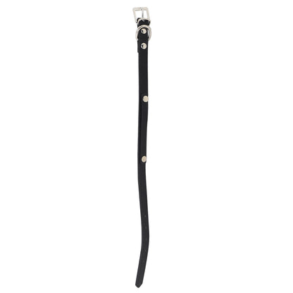 Collar para Mascota - Cuero Negro con Estoperoles 30 cm
