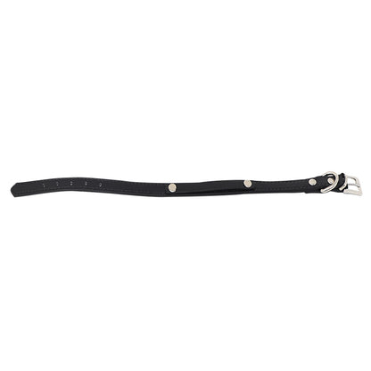 Collar para Mascota - Cuero Negro con Estoperoles 30 cm