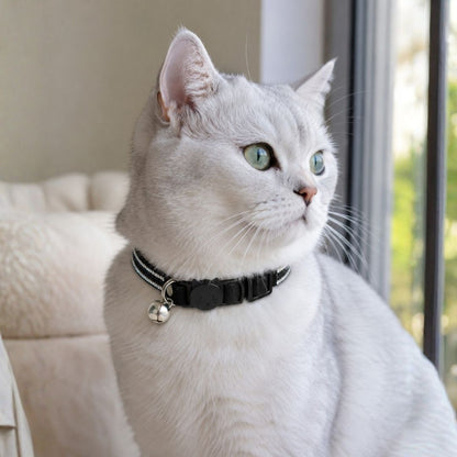Collar de Gato con Cascabel y Hebilla de Seguridad - 30 cm