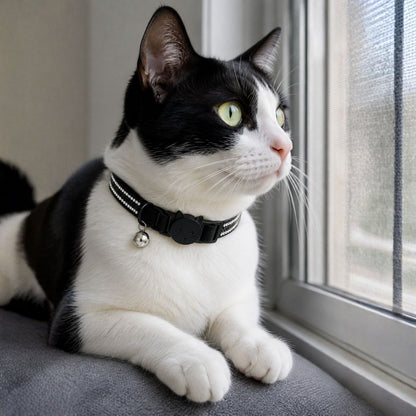 Collar de Gato con Cascabel y Hebilla de Seguridad - 30 cm
