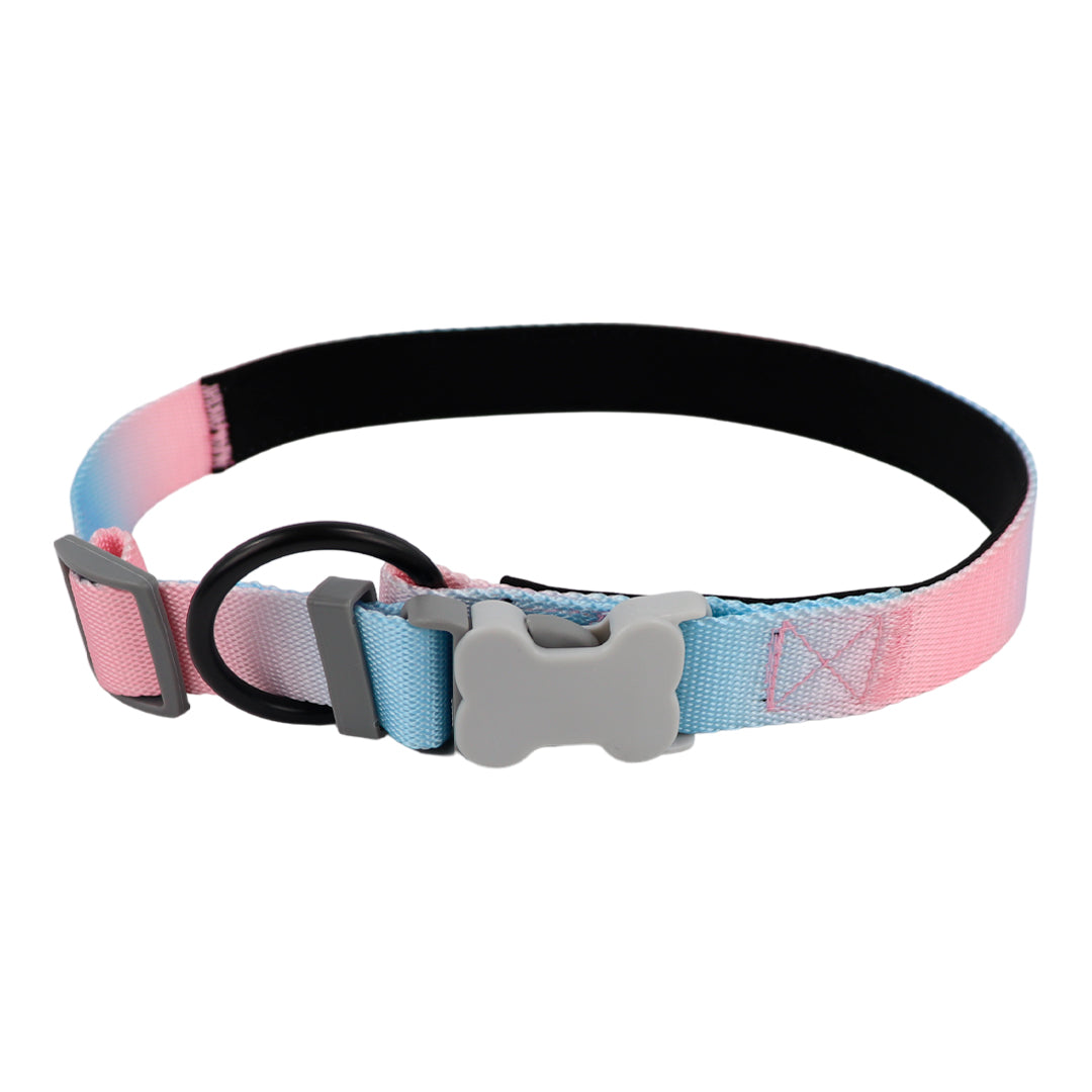 Collar para Perro Rosa y Azul con Broche de Hueso - 65 cm x 2.5 cm