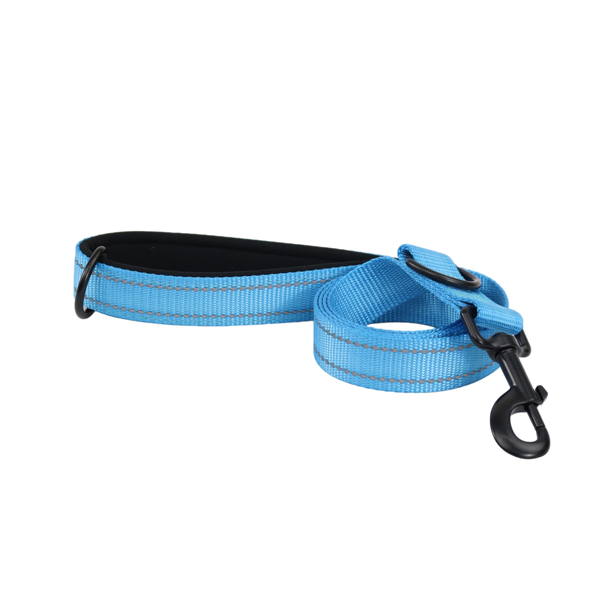 Correa para Mascota Azul con Bandas Reflejantes - 120 cm x 2.5 cm