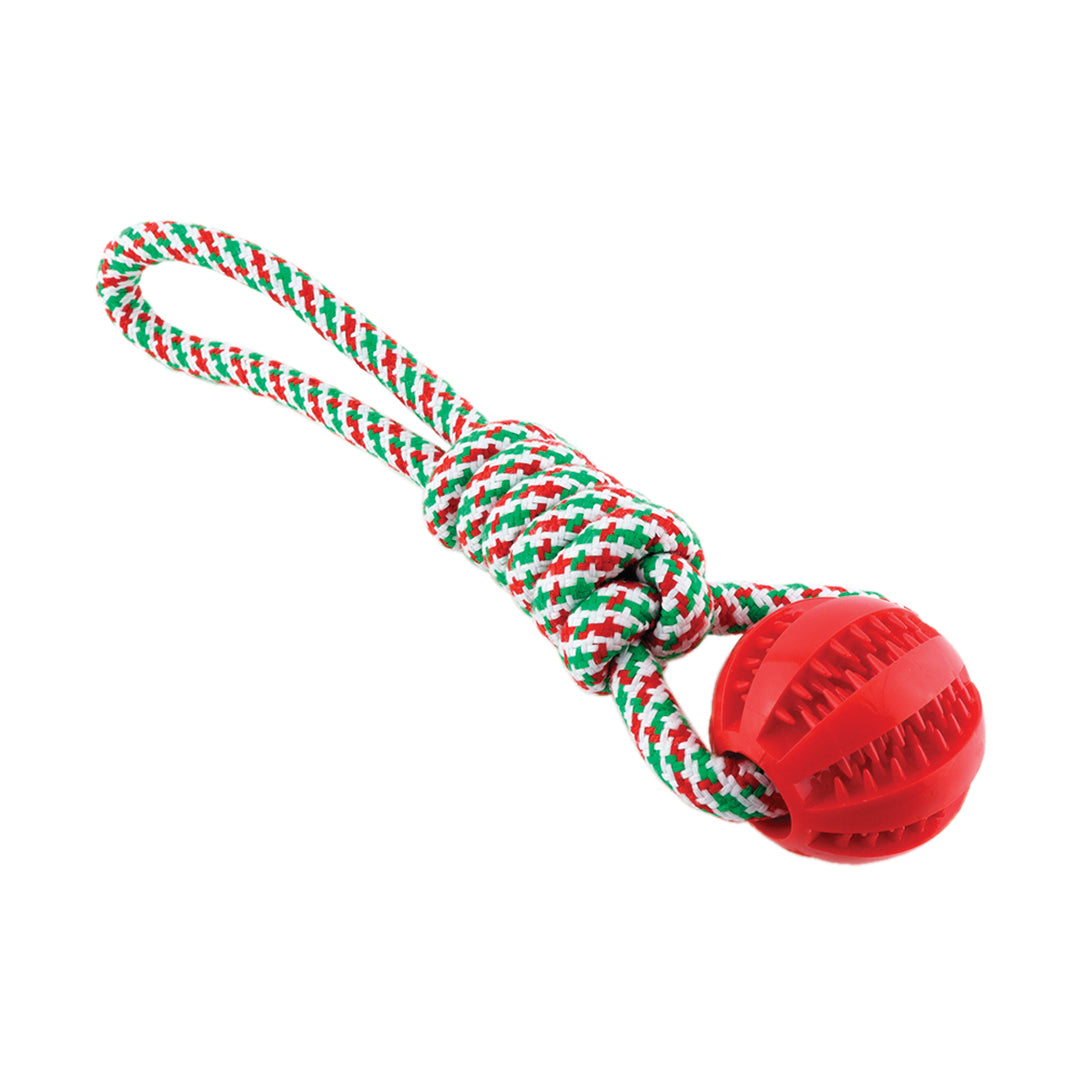 Juguete de Cuerda Trenzada con Pelota de Goma para Mascotas