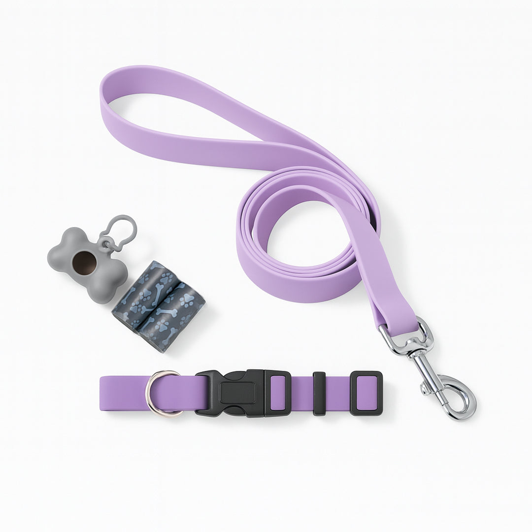 Set de Paseo para Mascota: Collar, Correa y Dispensador - Color Lila