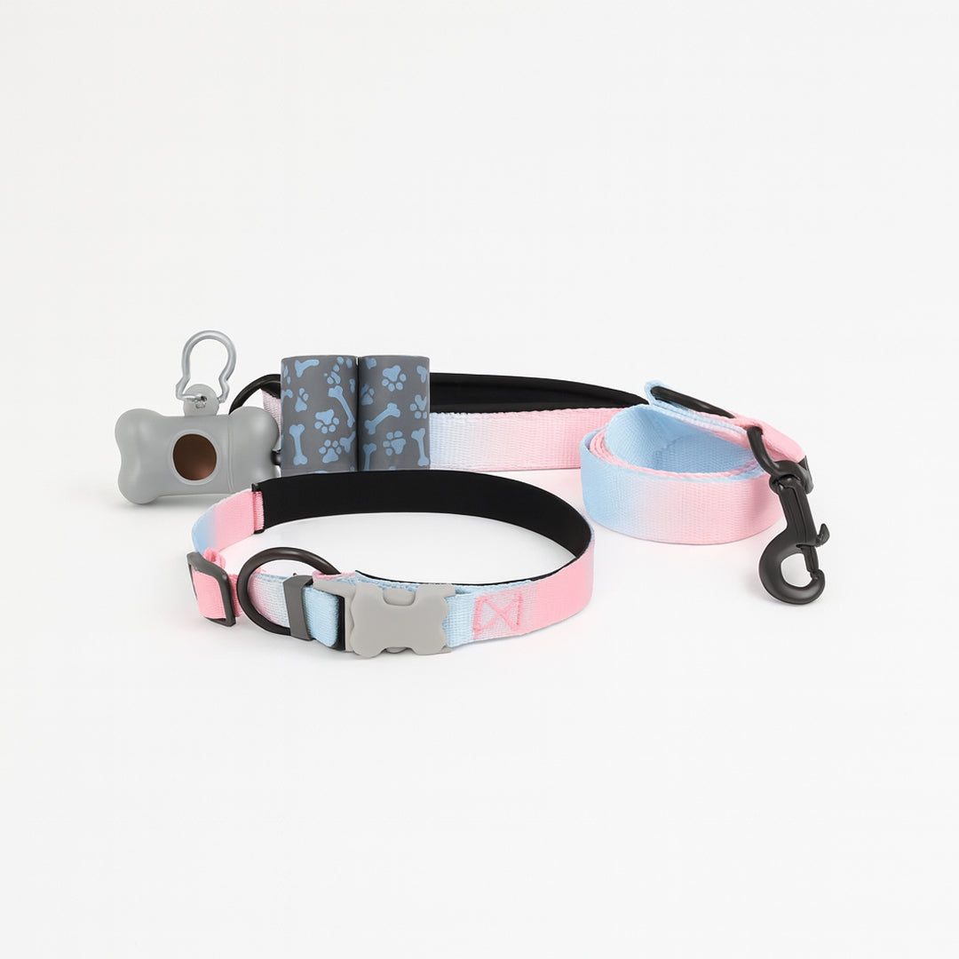 Set Paseo Mascota Reflejante: Correa, Collar y Dispensador de Bolsas - Color Bicolor