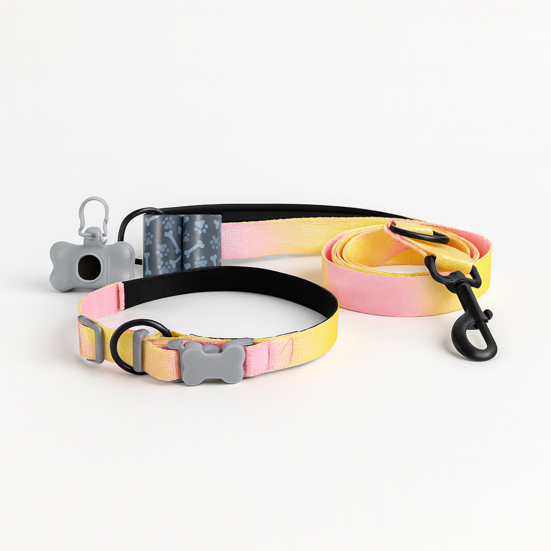 Set Paseo Mascota Reflejante: Correa, Collar y Dispensador de Bolsas - Color Rosa/Amarillo