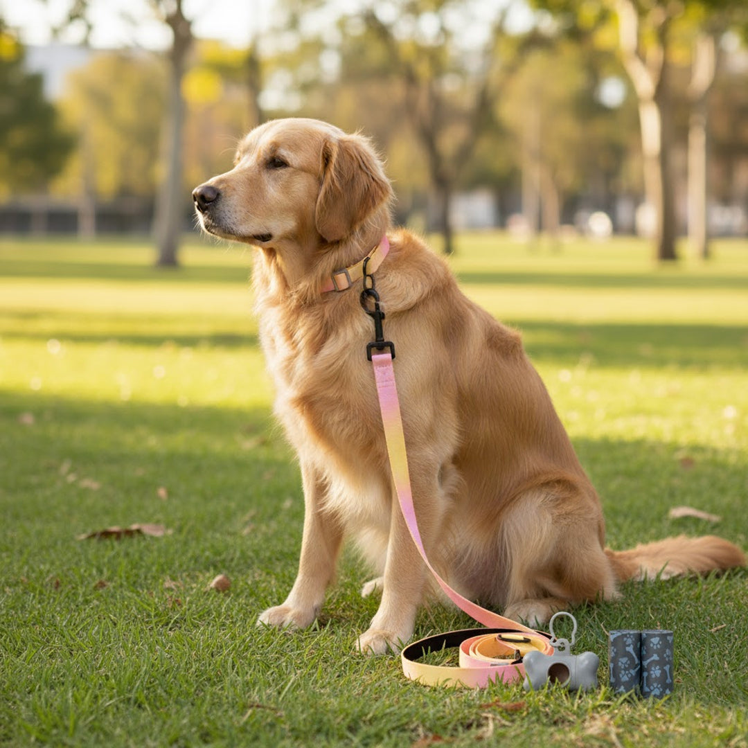 Set Paseo Mascota Reflejante: Correa, Collar y Dispensador de Bolsas - Color Rosa/Amarillo