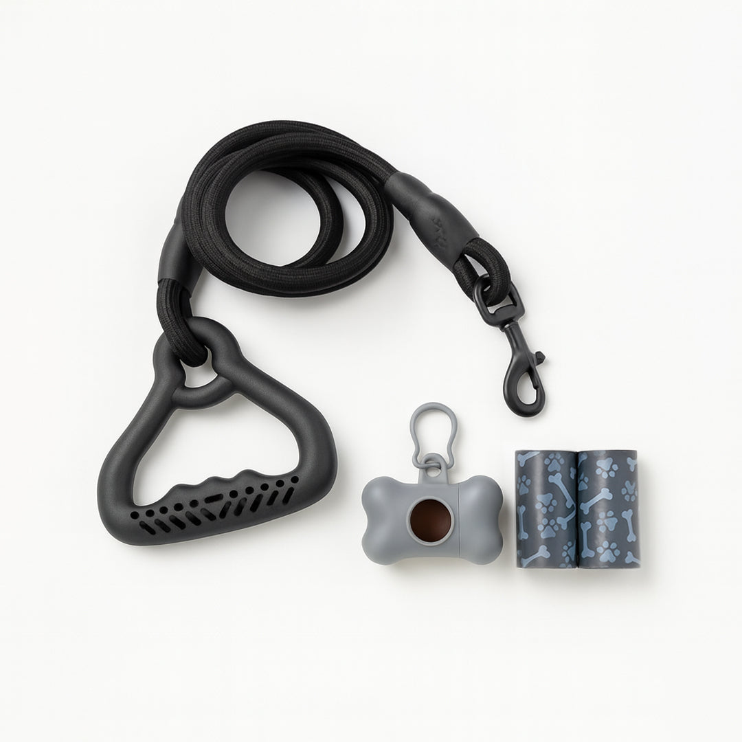 Set Paseo Negro: Correa Reforzada y Porta Bolsas