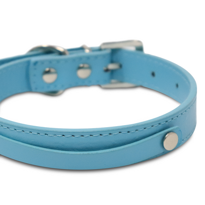 Collar para Mascota Azul Celeste Estoperol - 2 cm x 42 cm