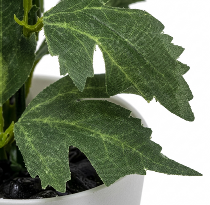 Mini Maceta Decorativa con Crisantemo Silvestre Morado